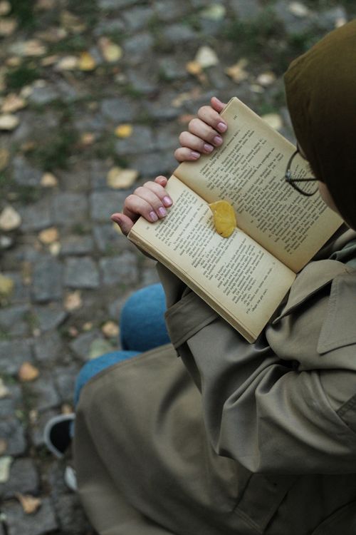 Free A woman sits outdoors reading a book, adorned with a leaf, capturing a serene fall day. Stock Photo