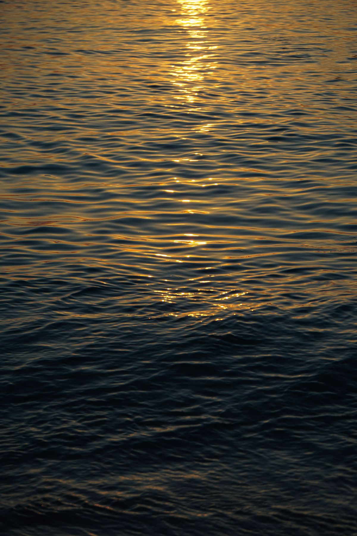 Golden morning light reflected on the sea at Nha Trang