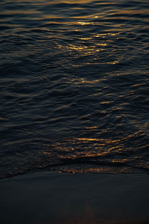 Free A serene view of golden sunlight reflecting on the ocean waves in Nha Trang, Vietnam. Stock Photo