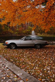 A classic vintage cabriolet surrounded by fallen autumn leaves next to a park fountain.