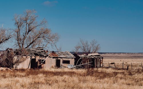 Foto profissional grátis de abandonado, arrasado, campo