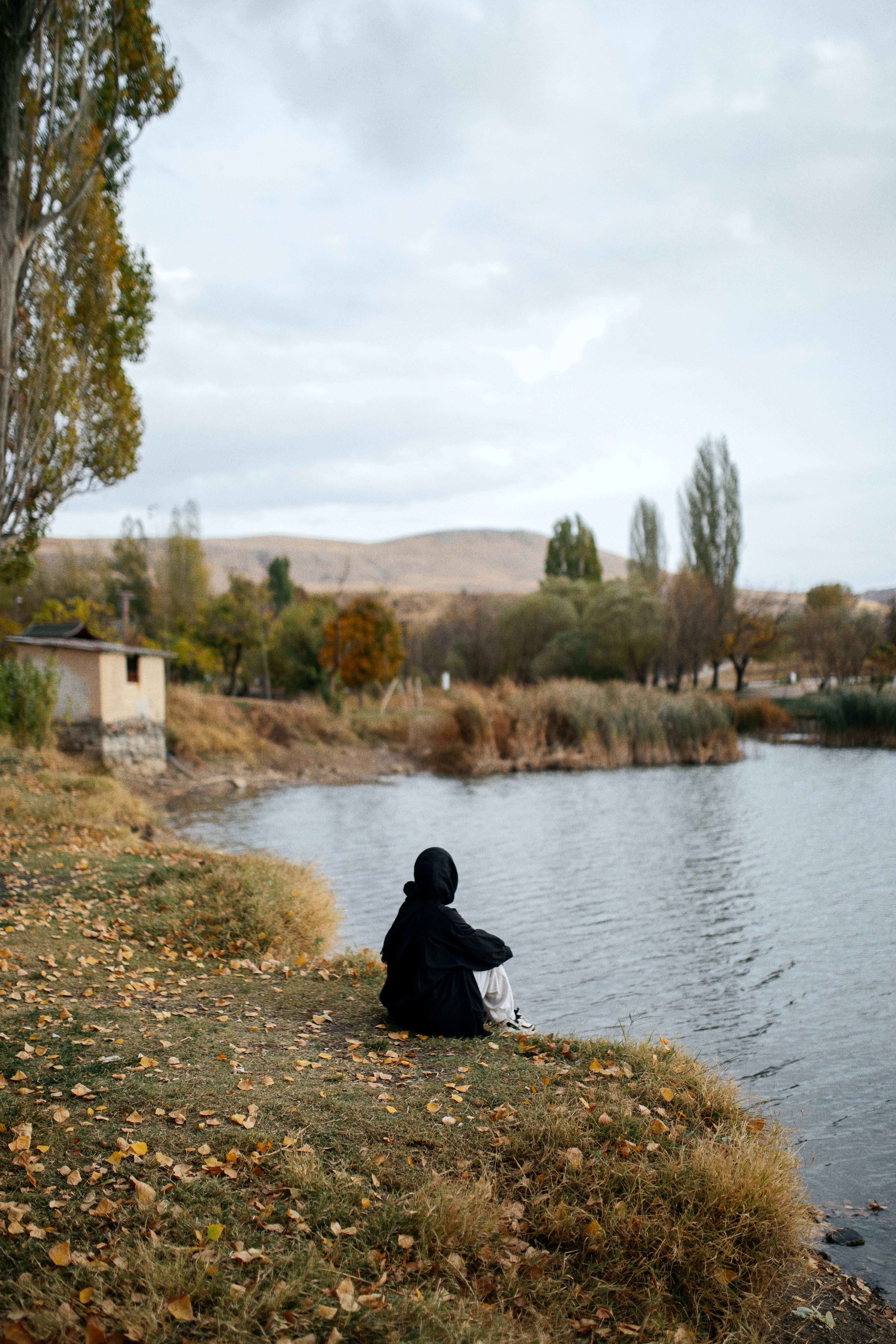 Landscape with a Person Sitting by a Pond · Free Stock Photo
