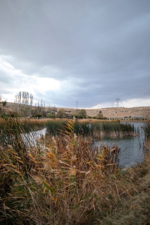 Free Tranquil autumn scene with marsh plants and a cloudy sky reflecting on a serene pond. Stock Photo