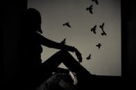 窗前女人的艺术轮廓与飞翔的鸟儿共同营造出戏剧性的阴郁氛围