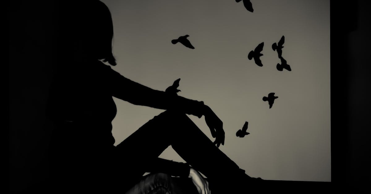 Silhouette of Woman Sitting on Window Watching Birds Flying