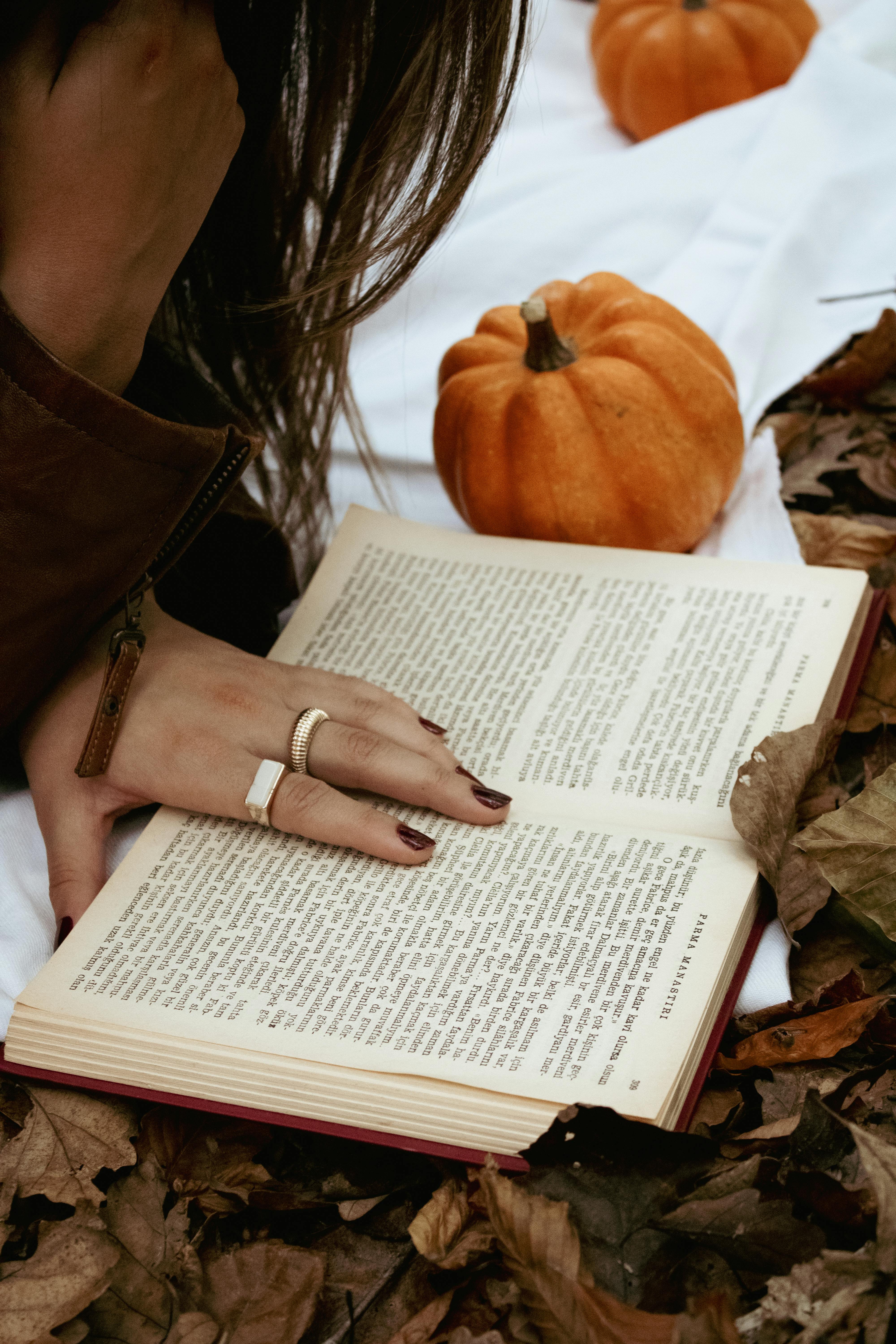 Qatar Picnic Photos, Download The BEST Free Qatar Picnic Stock Photos ...