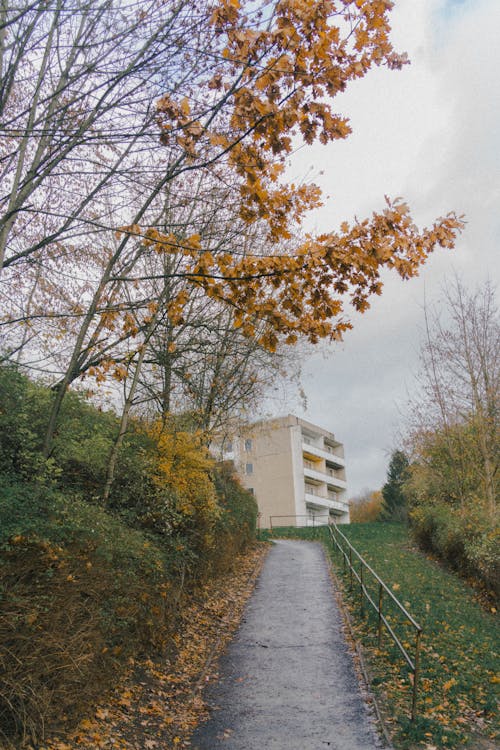 Free A scenic autumn pathway with colorful leaves leading to a residential building in Schmalkalden, Germany. Stock Photo