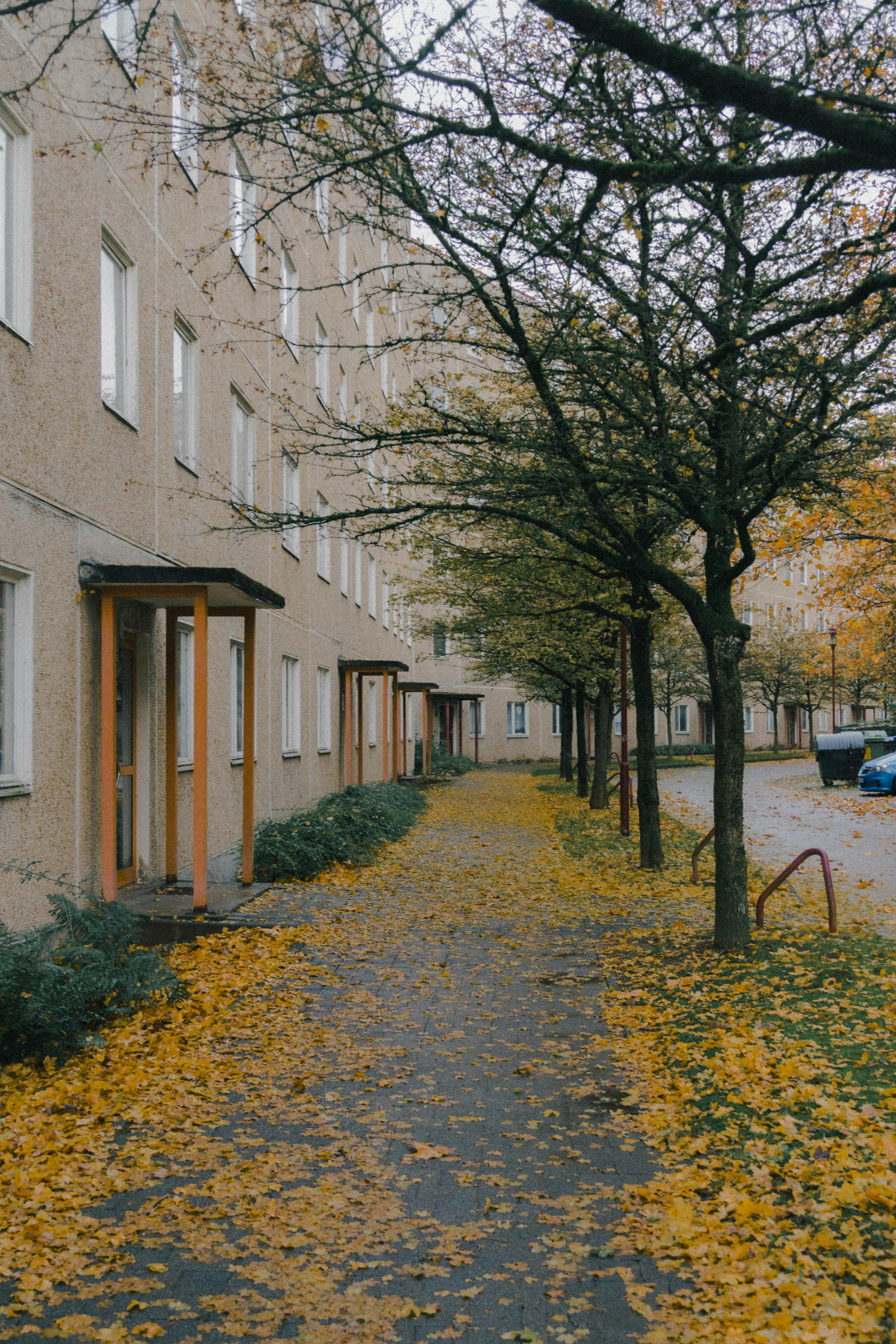 Camiseta real.madrid