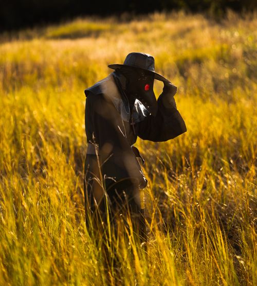 Free A person wearing a plague doctor costume walking through a sunny field. Stock Photo