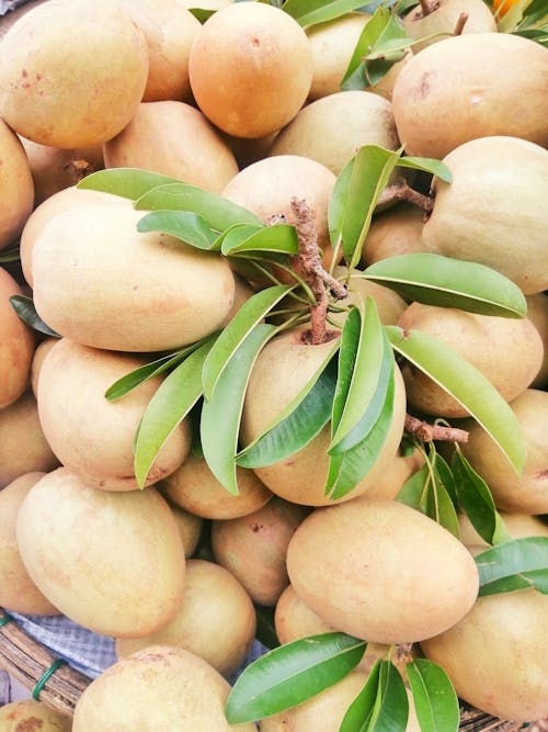 Foto profissional grátis de fruta, fruta sapoché, frutas