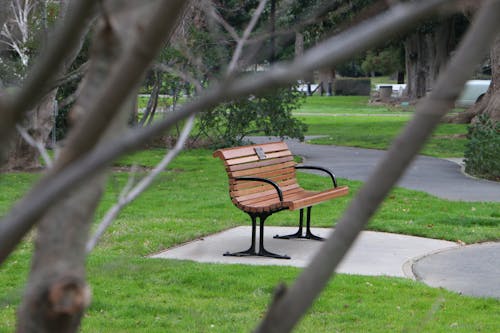 Free stock photo of bench, lonely, park Stock Photo