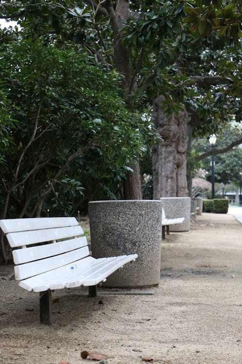Free stock photo of bench, bushes, park Stock Photo