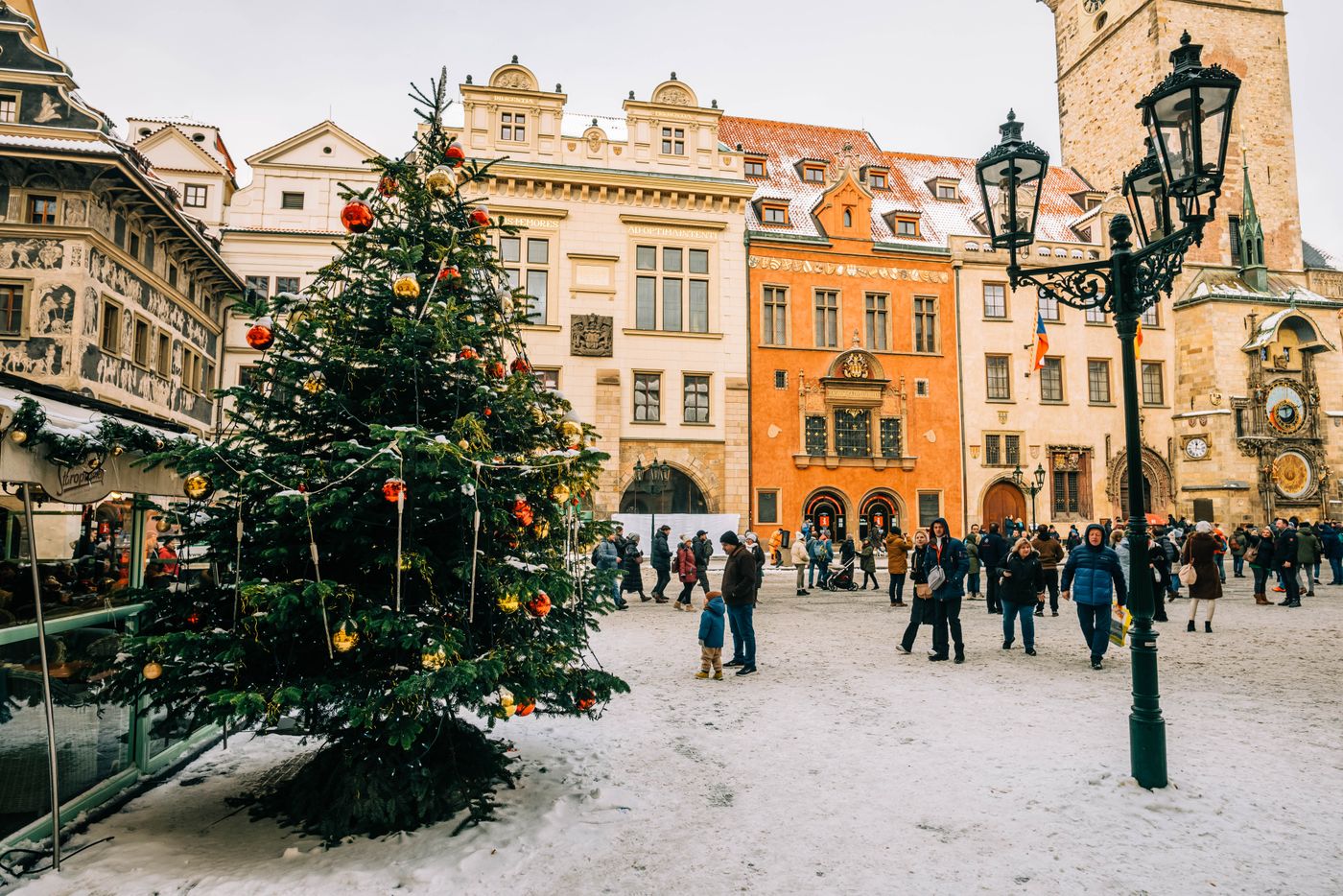 A decorated Christmas tree on snowy Old Town Square in Prague, with pastel façades and the Old Town Hall tower behind