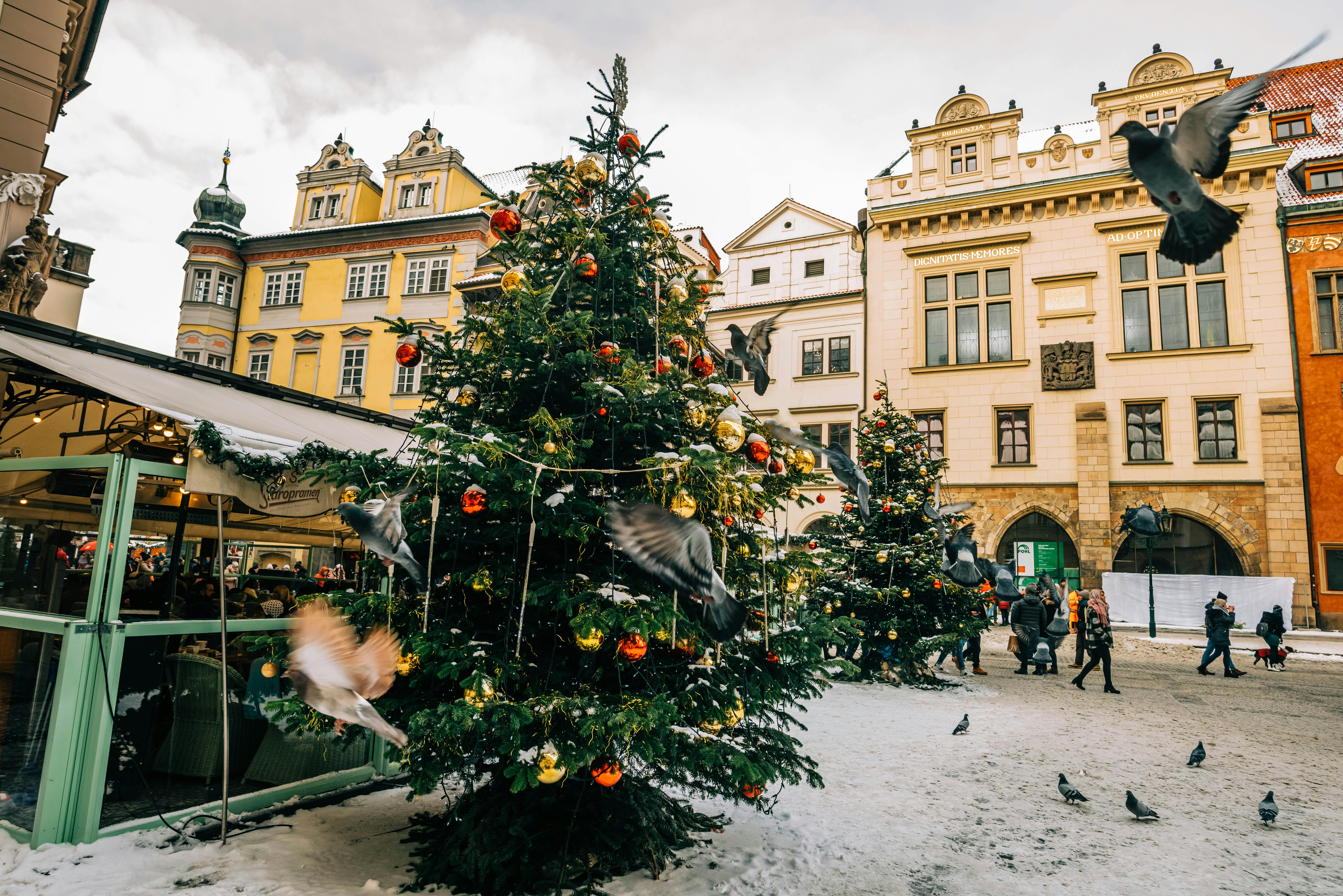 christmas tree in the prague old town czech republic