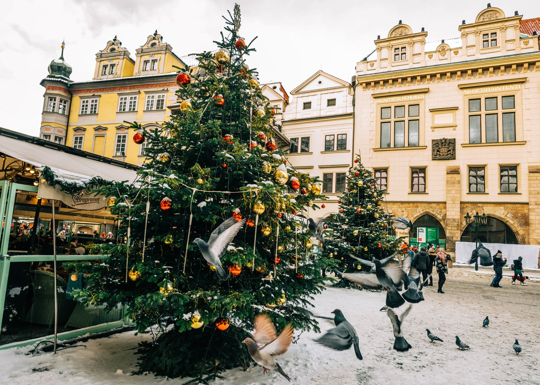 A bustling town square with a decorated Christmas tree surrounded by historic architecture and pigeons.