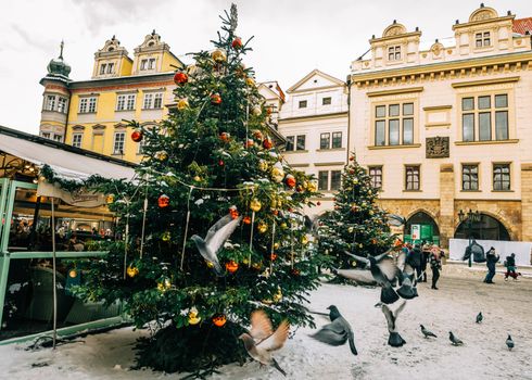 A bustling town square with a decorated Christmas tree surrounded by historic architecture and pigeons.