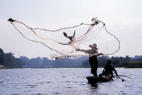dawn of men fishing net Daymaker Boat - Long Handle Fisherman Casting Net in Serene