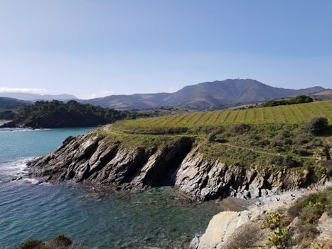 Banyuls-dels-Aspres