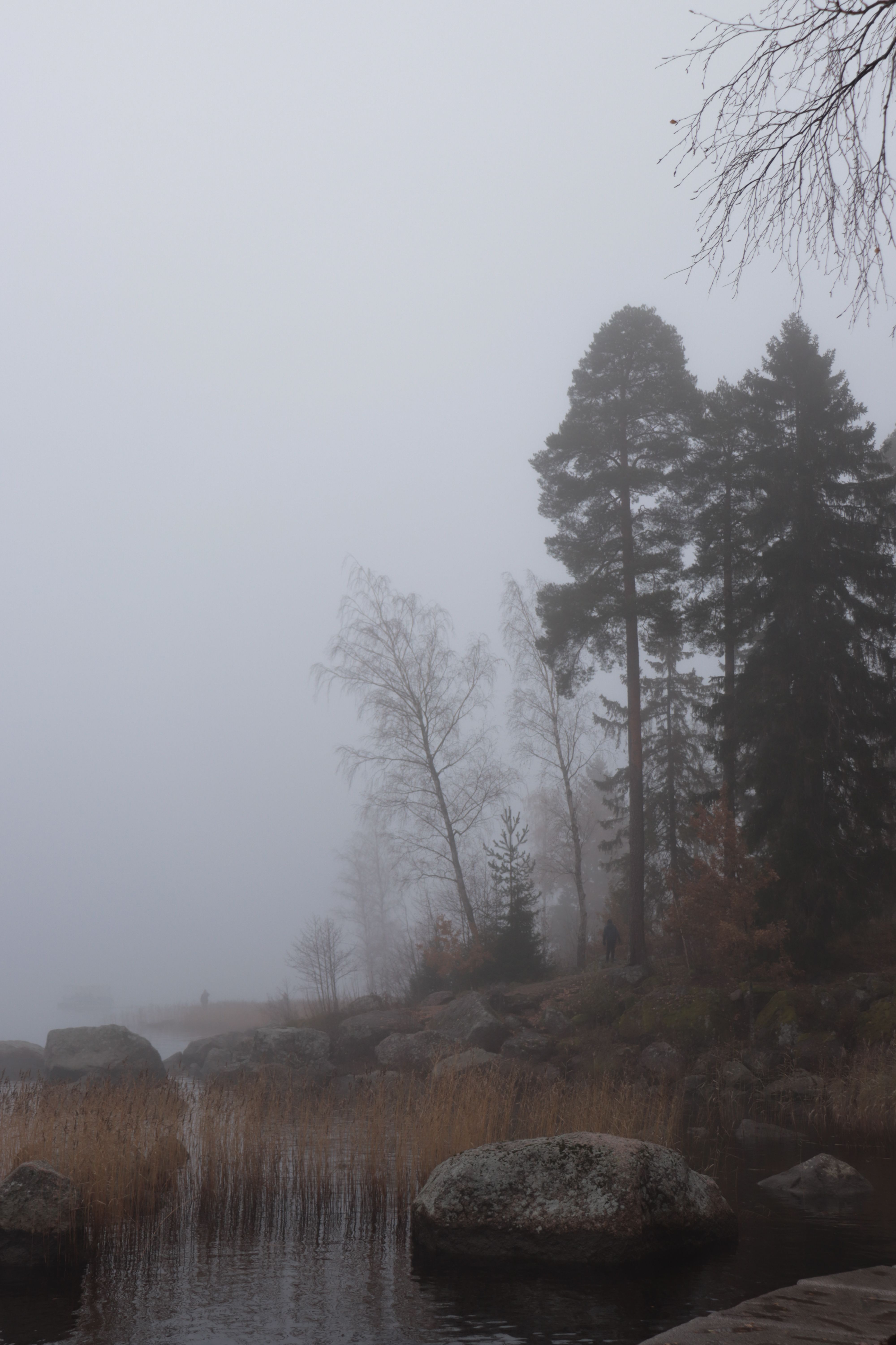 Fog visual data 5