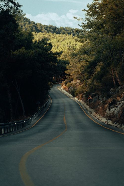 Free A peaceful scenic road winding through a lush forest landscape in Fethiye, Türkiye. Stock Photo