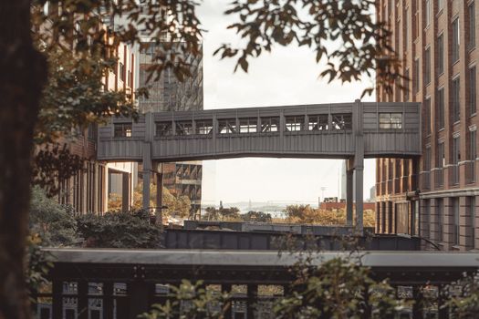 High Line and Meatpacking walk — New York City