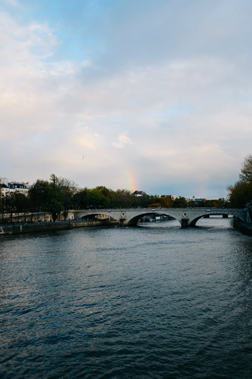 River and Bridge in Paris 