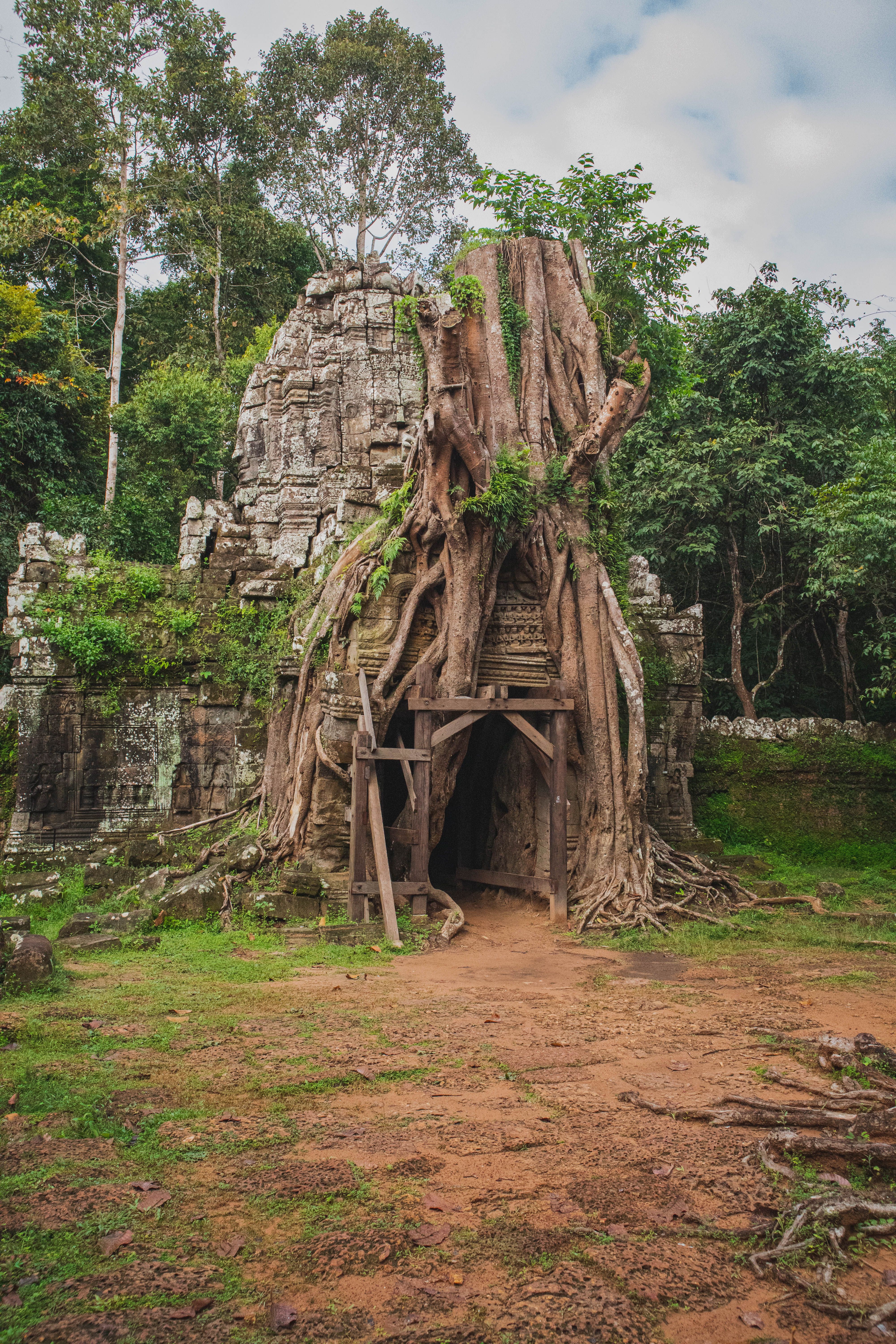 Angkor temple ruins surrounded by tropical trees