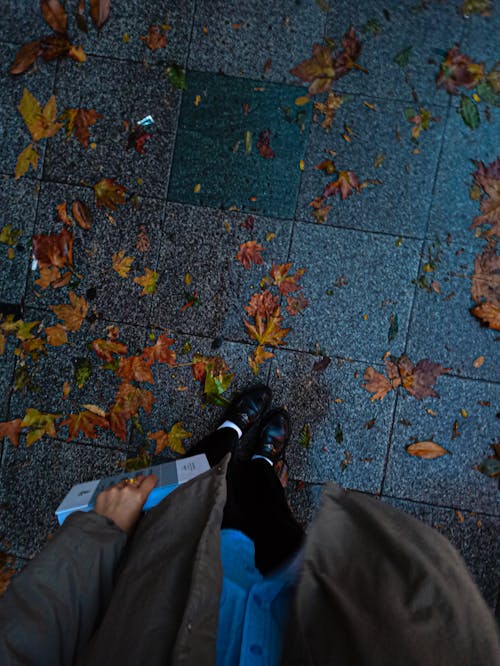 Woman with a Book Walking on the Sidewalk