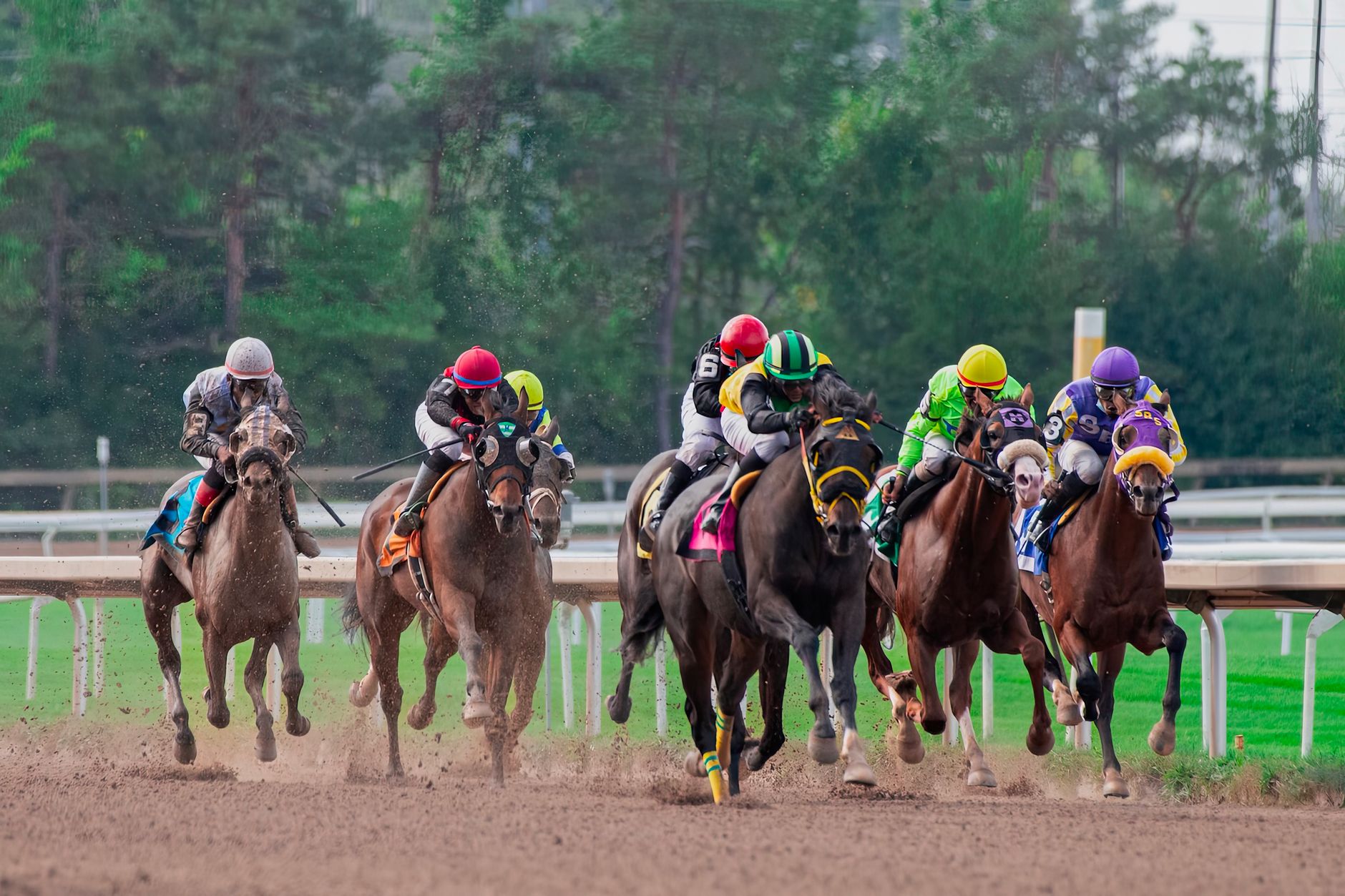 Fast-paced horse racing competition with jockeys in action on dirt track outdoors.