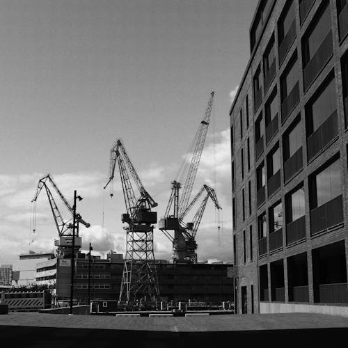 Black and White Photo of Construction Cranes in Port