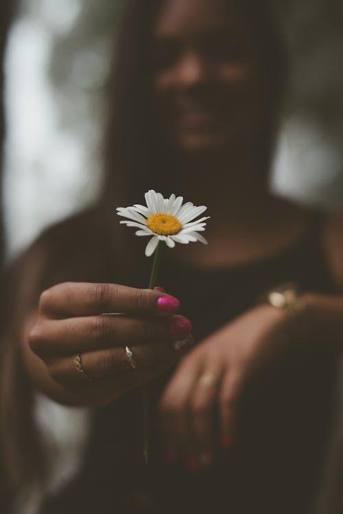 Selective Focus Photo of Woman Holding a White Daisy Flower