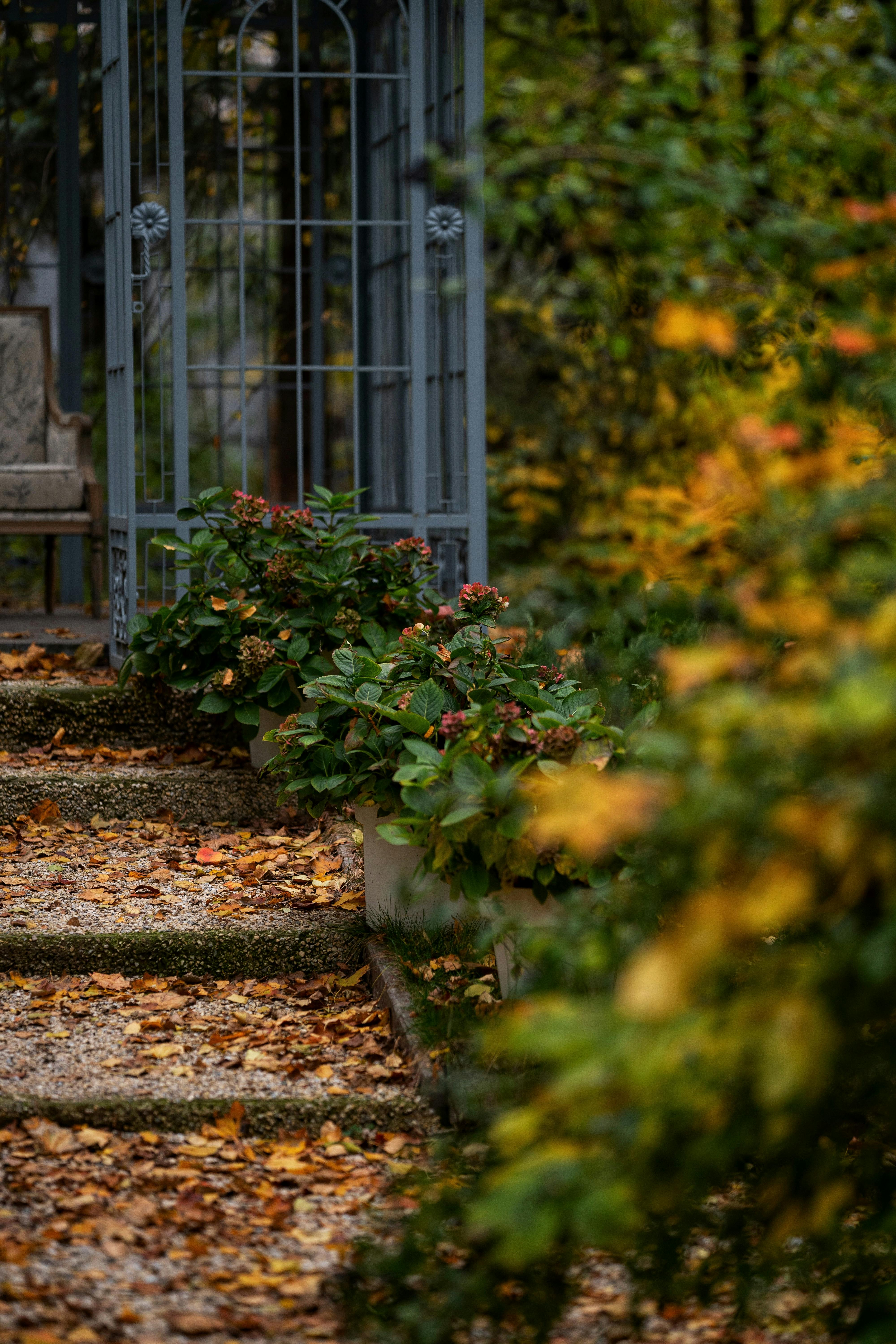 How Do I Create A Nopal-friendly Ecosystem In My Garden?