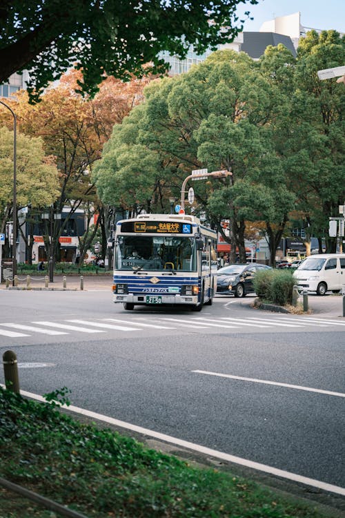 Immagine gratuita di alberi, autobus, intersezione stradale