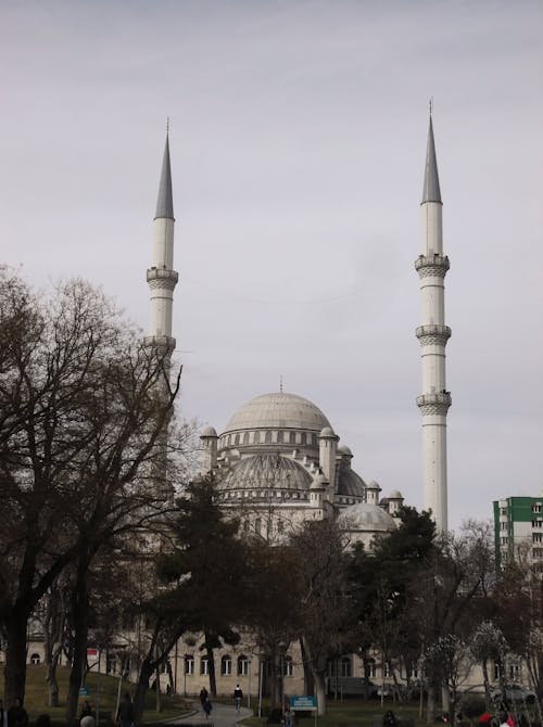 Kostenloses Stock Foto zu bäume, blaue moschee, islam