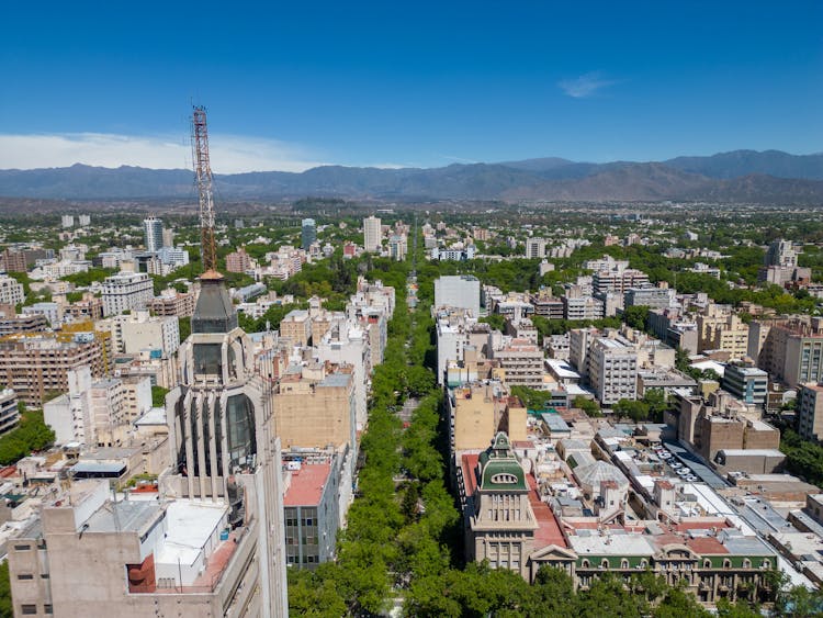 Trees And Buildings In City