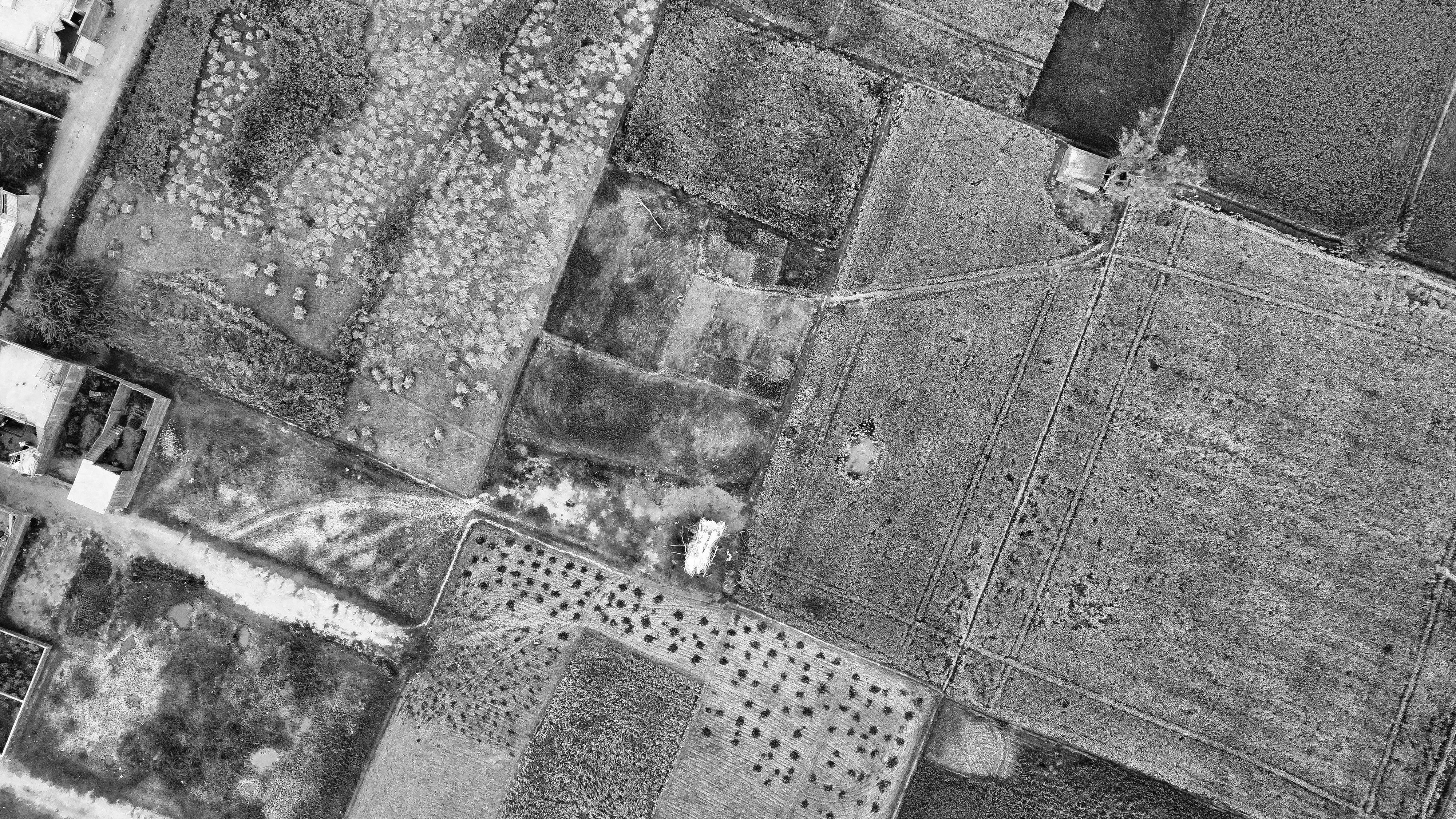 Ett modernt och nyrenoverat kök med mörka träskåp och marmorbänkskiva.