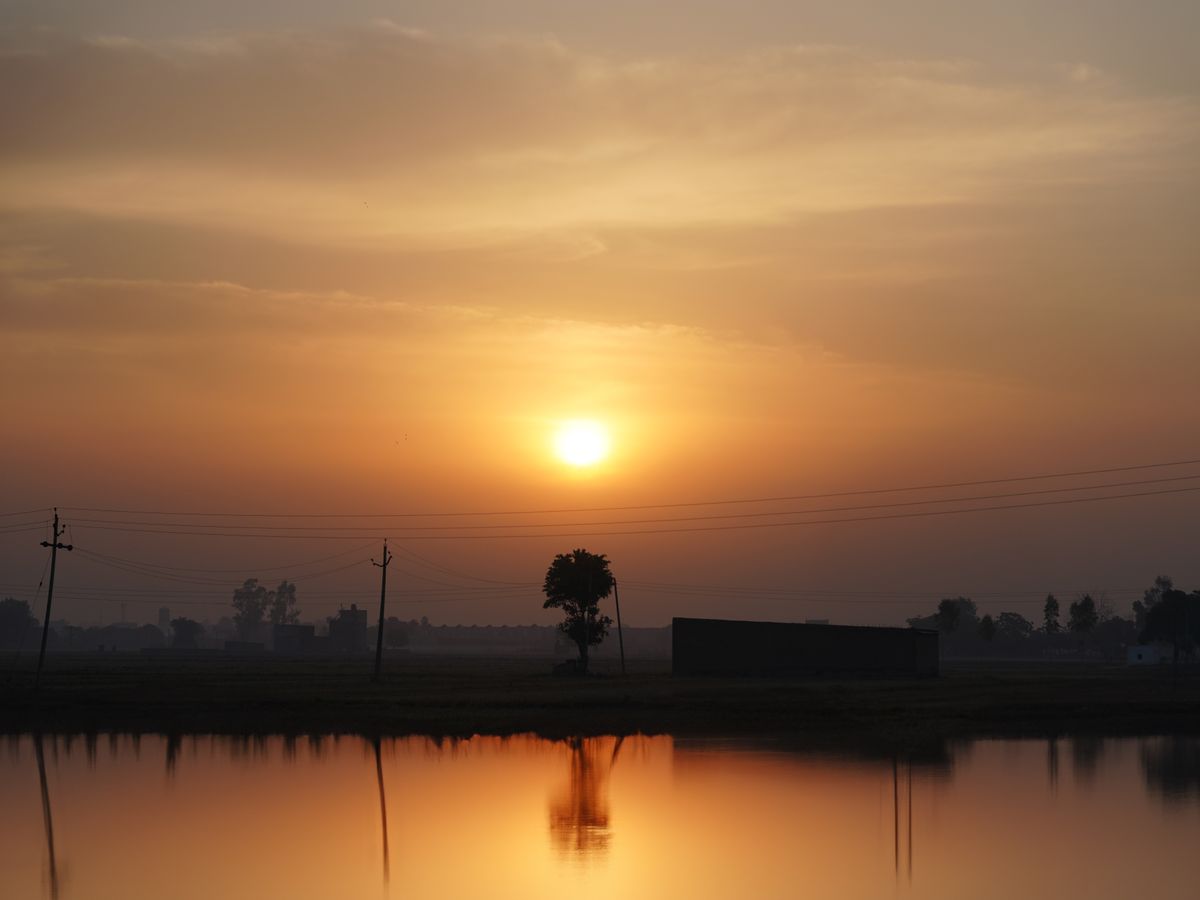 14 Day Deep Rejuvenation Panchakarma Retreat in Coimbatore, India 3