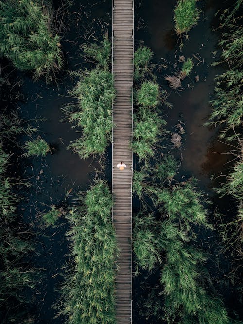 Top View of a Person Standing on a Pier 