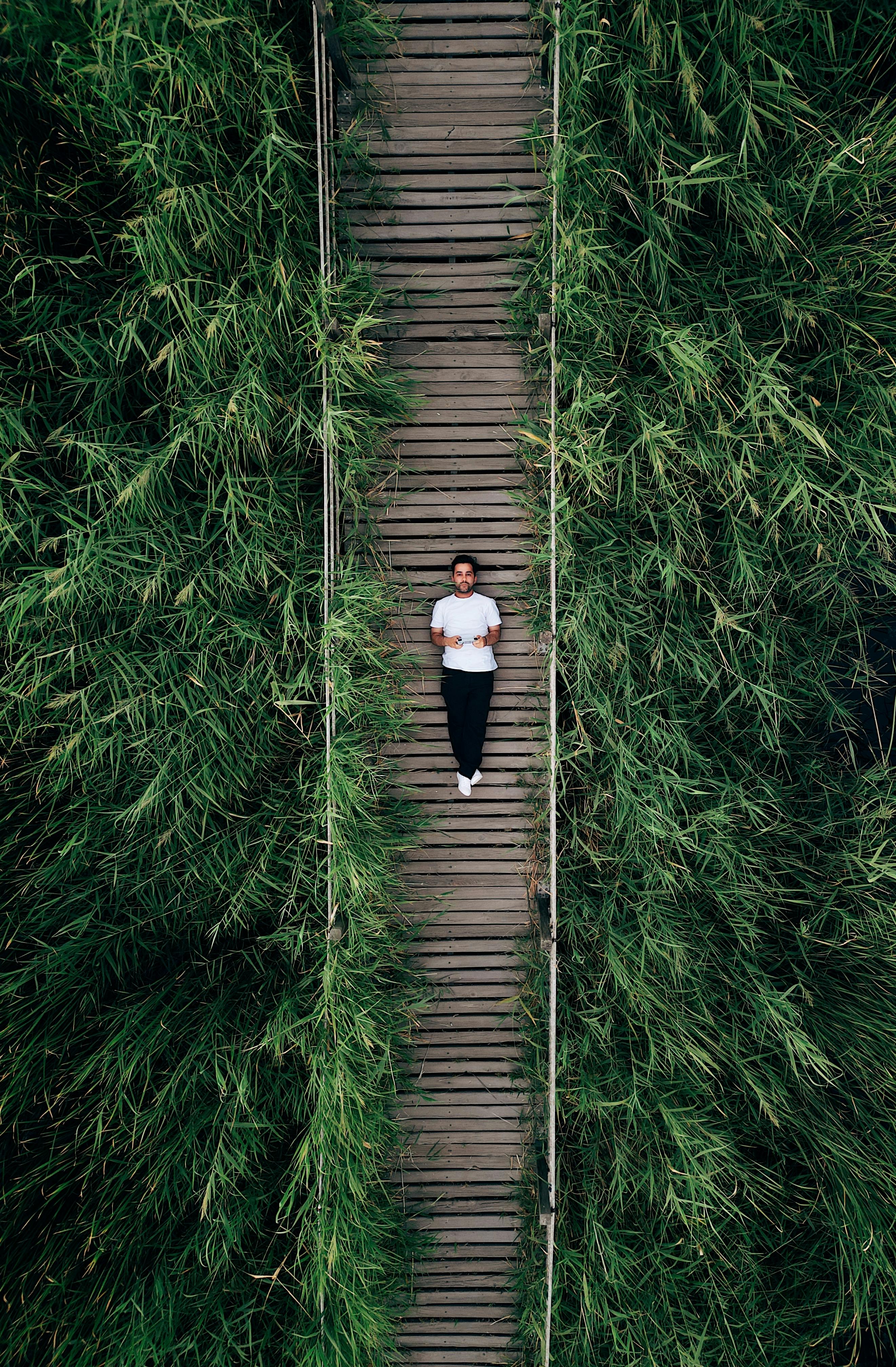 Aerial view of a man relaxing on a wooden footpath surrounded by lush greenery.