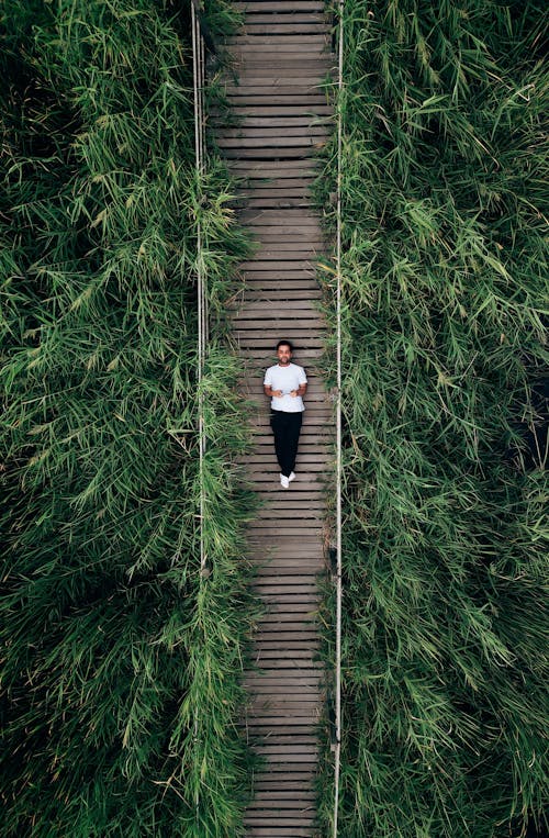 Man Lying Down on Wooden Footpath