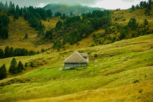 Free A serene cottage nestled amid rolling green hills and lush forest in a rural landscape. Stock Photo