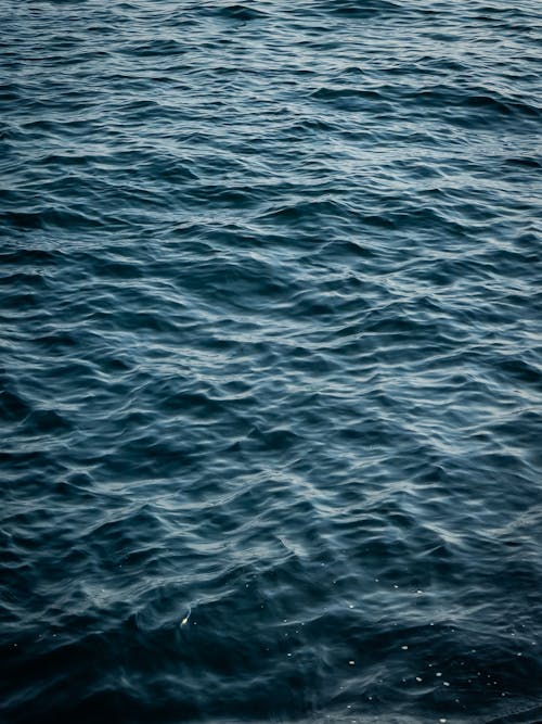 View of Blue Water Surface 