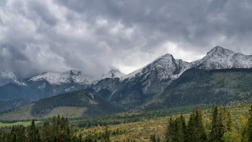 Бесплатное стоковое фото с горный хребет, горы, деревья