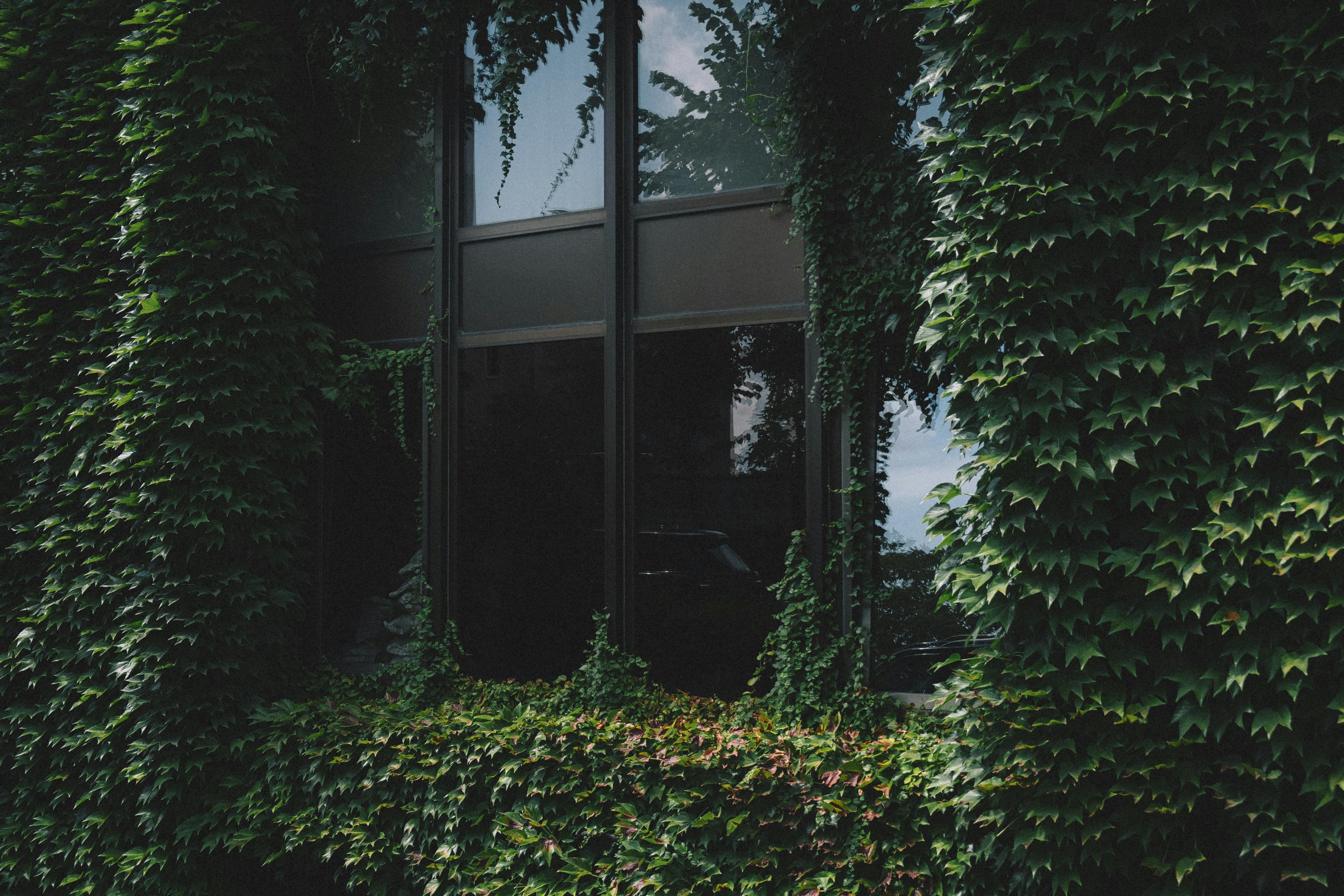 Beyond the Ivy League: Why Community Colleges Are the New Hotspot for Career Success