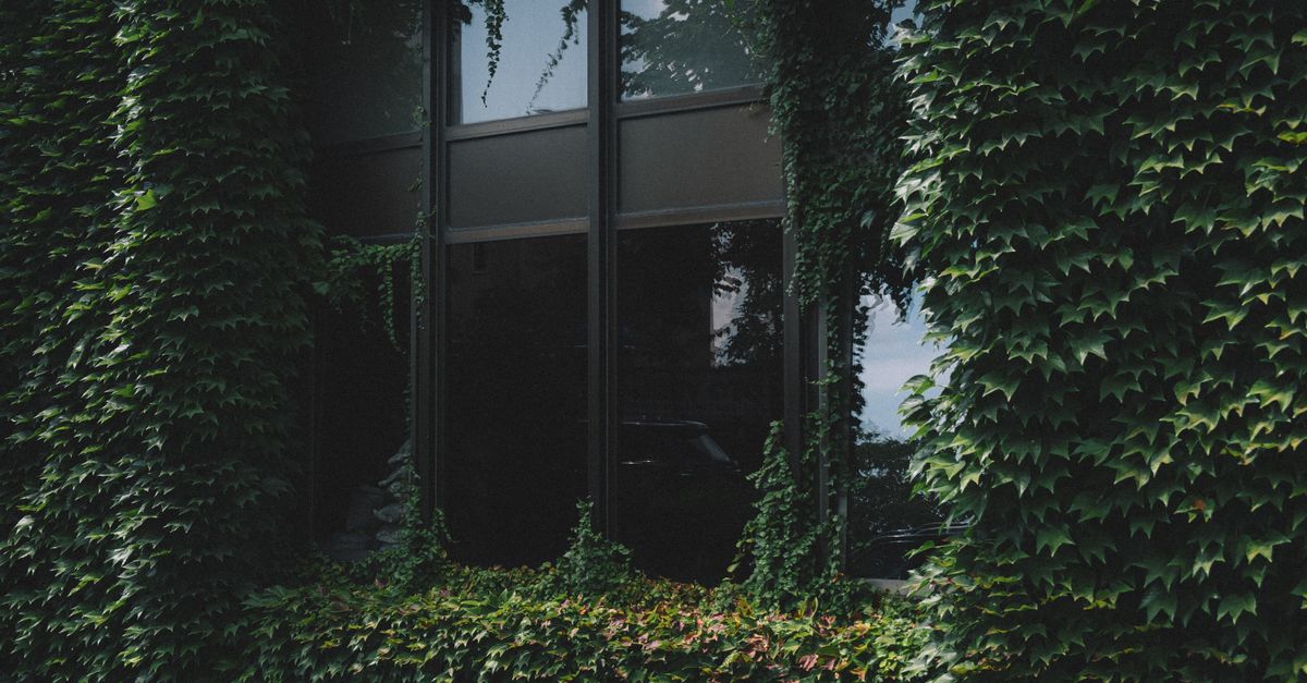 Beyond the Ivy League: Why Community Colleges Are the New Hotspot for Career Success