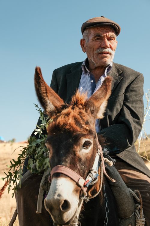 Free An elderly man with a hat and moustache rides a donkey outdoors, showcasing rural life. Stock Photo