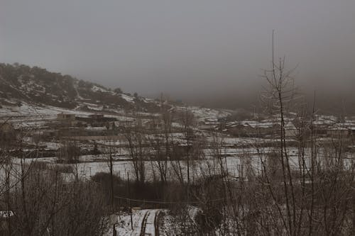 grátis Foto profissional grátis de colina, com frio, congelado Foto profissional