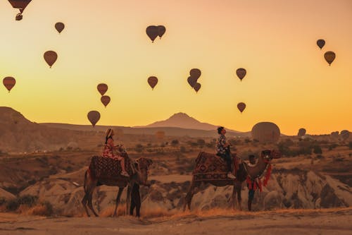 Immagine gratuita di avventura, cammelli, cappadocia