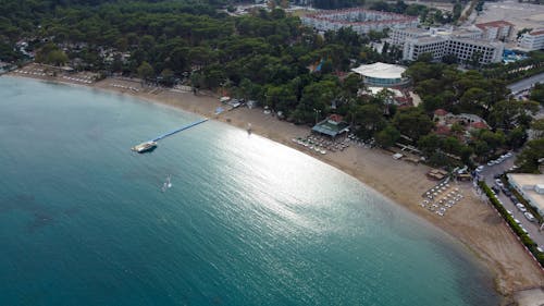 Foto d'estoc gratuïta de arbres, Costa, edificis