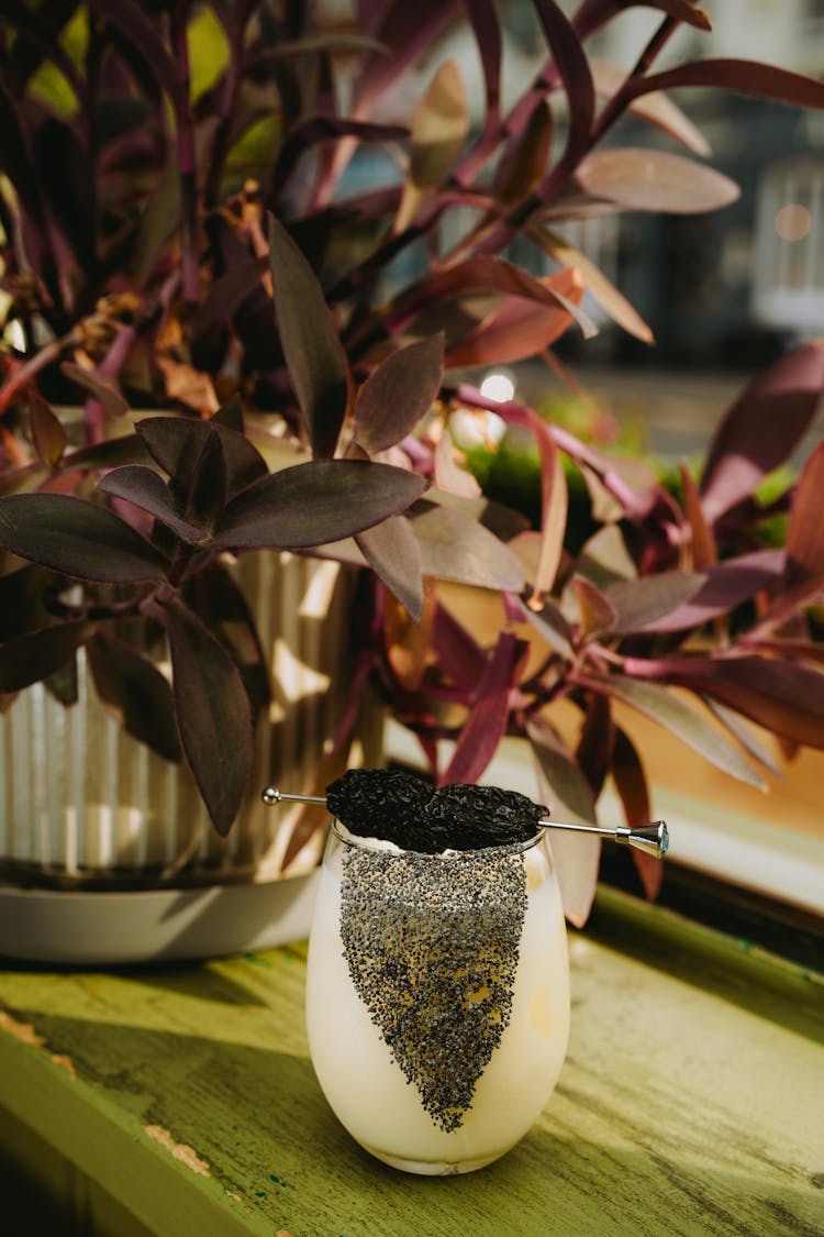 Cocktail And Plants